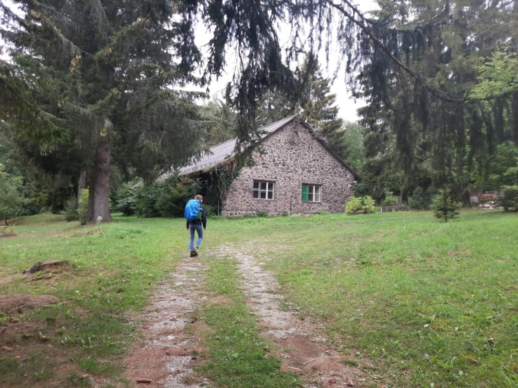 Bükki gombászok