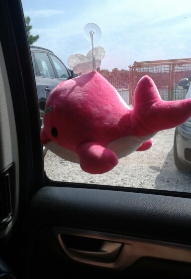 Bálnahalászat - 2026-01-26 21:22 - Csúcs Natália