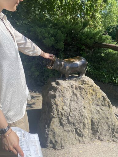Hippo statue at the Zoo - 2025-05-16 16:04 - Omarova Kamilla