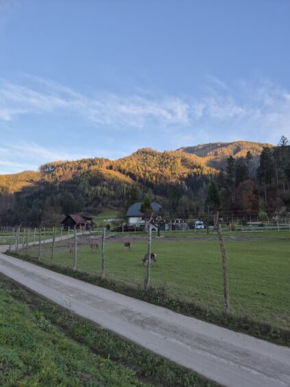 Ausztriai biciklitúra