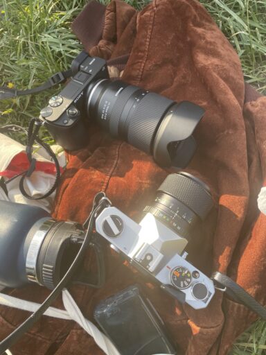 Lost pictures, Elvesztett képek - 2025-06-11 14:20 - Thu Phone Myat
