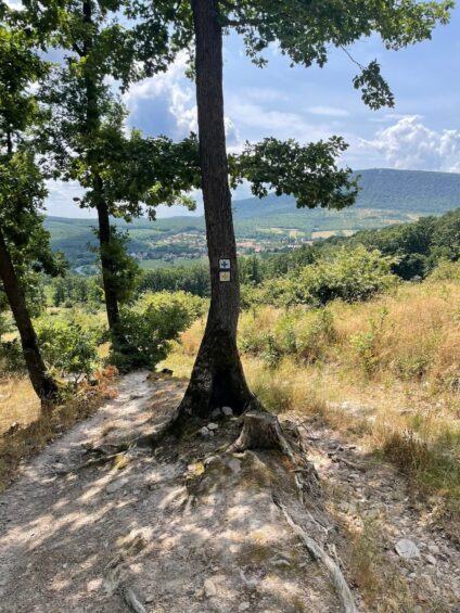 Ismerős ismeretlen