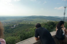 Mini Hike