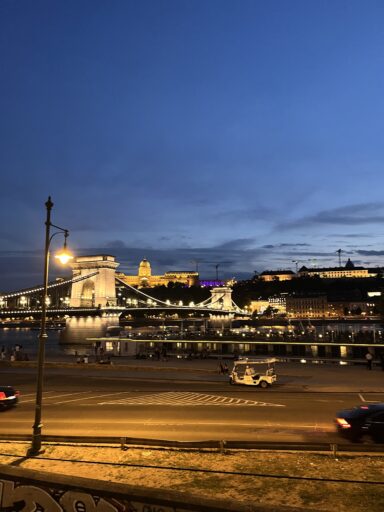 Evening on Danube - 2025-10-22 00:20 - Дильда Жайдаркызы
