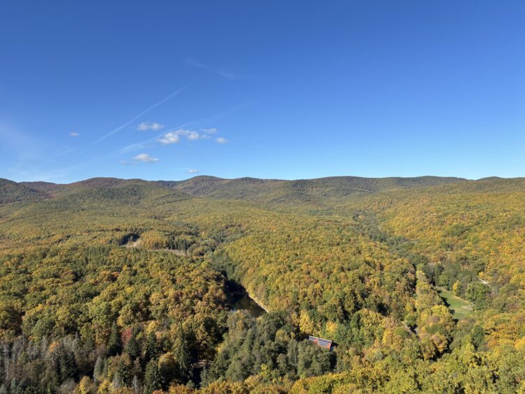 Egy nap a természetben