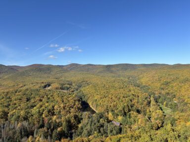 Egy nap a természetben - 2025-11-05 11:37 - Takács Alexandra