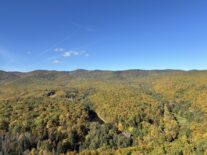 Egy nap a természetben