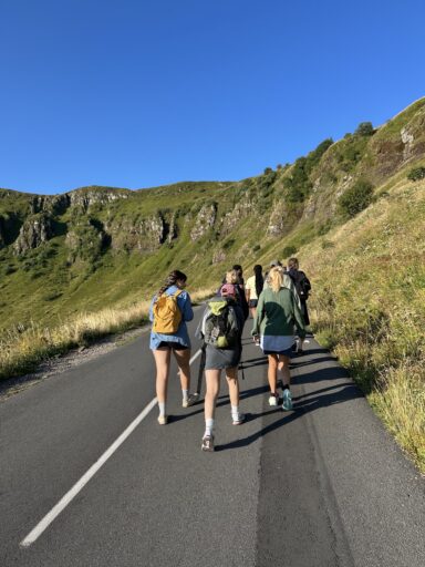 Áfonyaszedés - 2025-11-24 23:56 - Filp Csenge