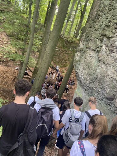 Erdei iskola - 2025-11-26 13:40 - Gáspár Nóra