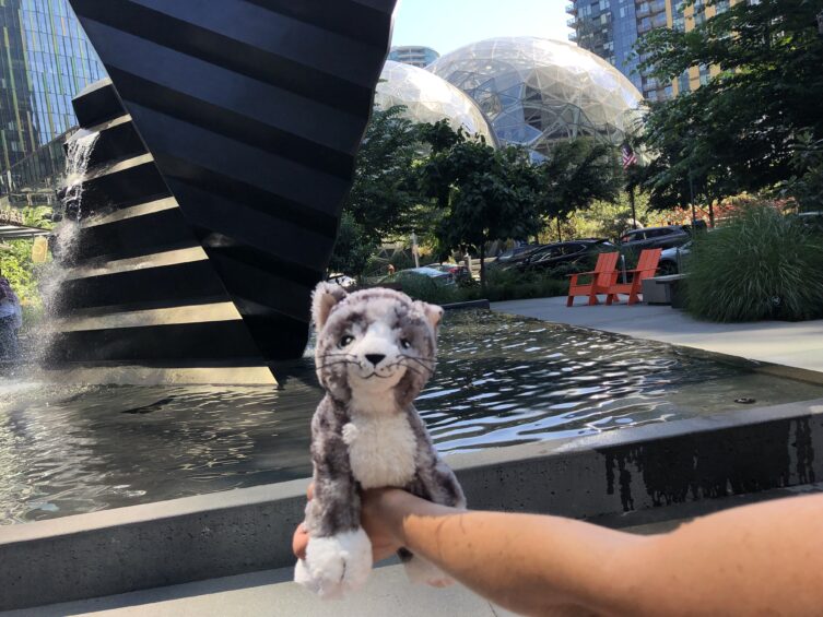 Kis magyar nagy Amerikában