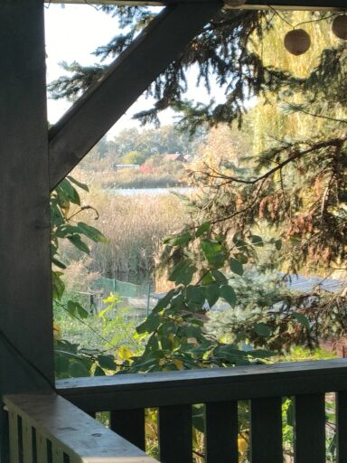 A Dunánál - 2025-12-01 19:40 - Rosta Ákos