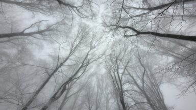 Havazás - 2025-12-02 08:13 - Mezei Dávid