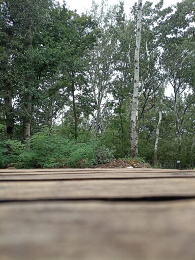 Egy érdekes iskola - 2025-12-02 18:19 - Popovics Bálint