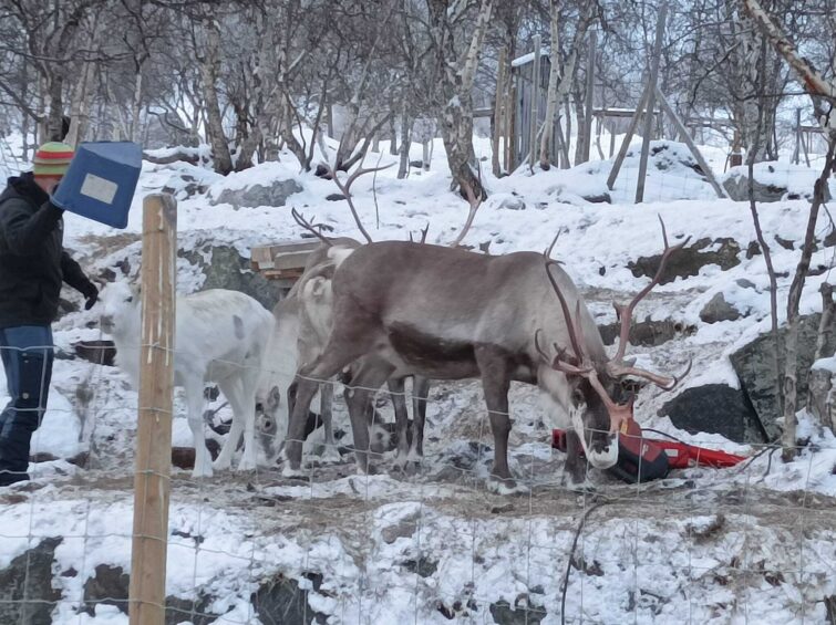 Norvégiai kirándulás