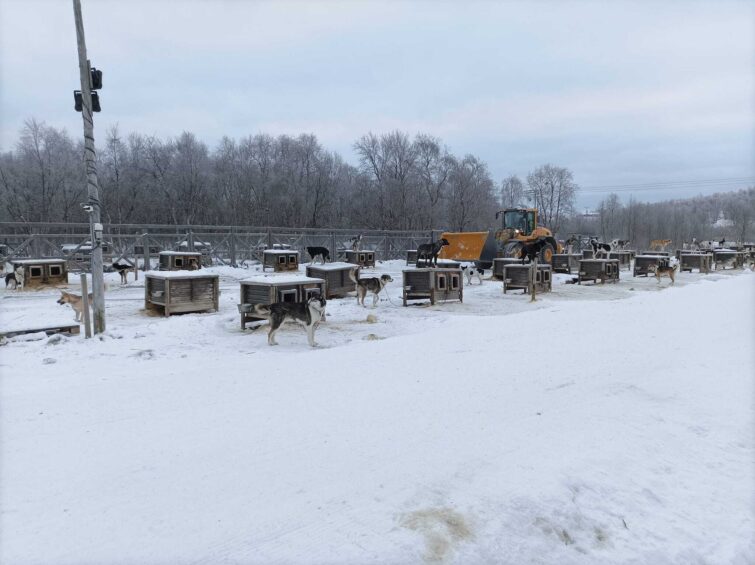 Norvégiai kirándulás