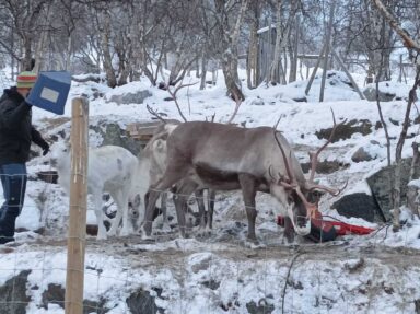 Norvégiai kirándulás - 2025-12-14 19:07 - Csákvári Erzsébet