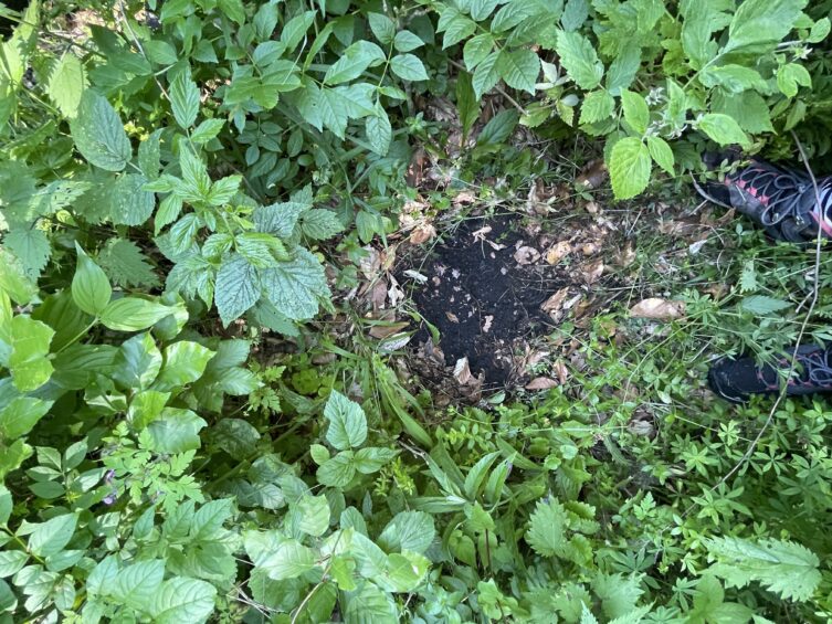 Szénégetés nyomában 2025-ben