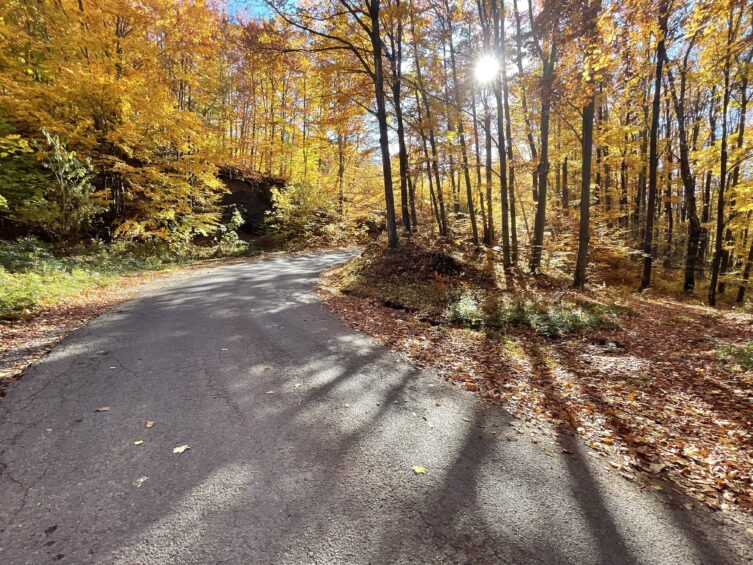 Szénégetés nyomában 2025-ben