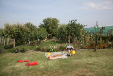 Műveljük kertjeinket