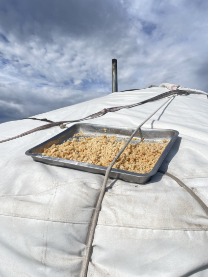 Mongol vendégszeretet