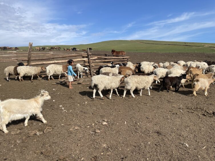 Mongol vendégszeretet