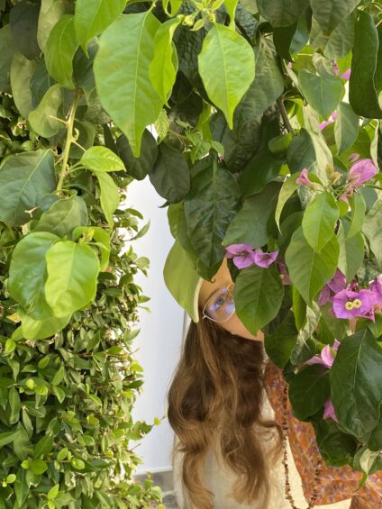 Murvafürt fotósorozat