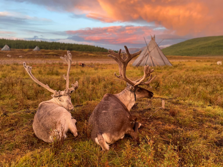 Kalandozás Mongóliában