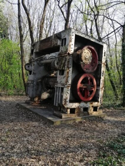 Posztapokaliptikus kirándulás az erdőben