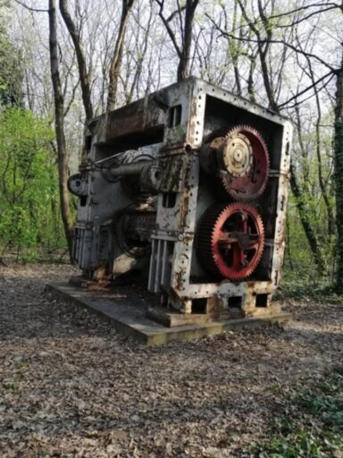 Posztapokaliptikus kirándulás az erdőben - 2026-01-13 21:40 - Nagy Petra