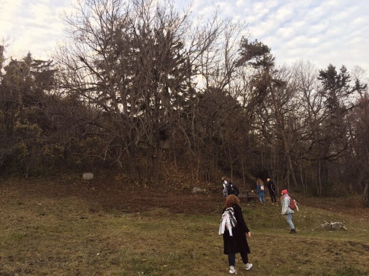 Egyetemfoglalás a Dunakanyarban