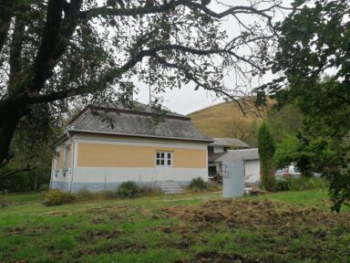 A dédi háza - 2026-01-19 13:14 - Bánlaky Réka