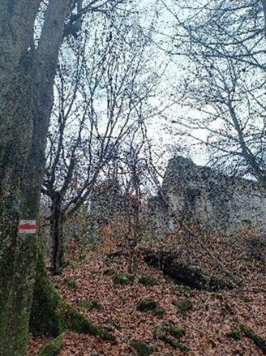 Családi romlátogatás - 2026-01-21 17:02 - Molnár Réka