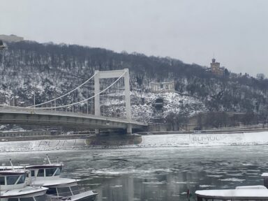 2026 január - 2026-02-03 12:24 - Tóth Jolán