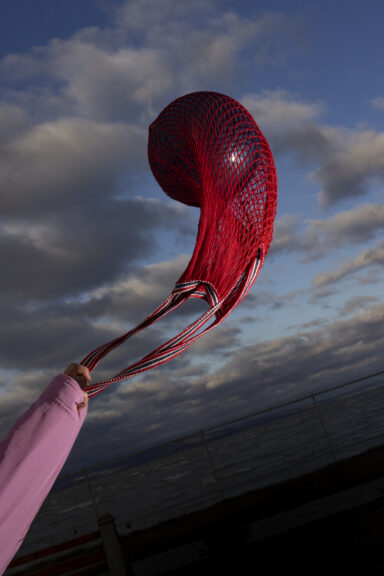 Sétáló - 2026-02-12 10:51 - Hevesi-Szabó Lujza