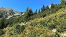 Hegyremegy a Judlik Kúlia