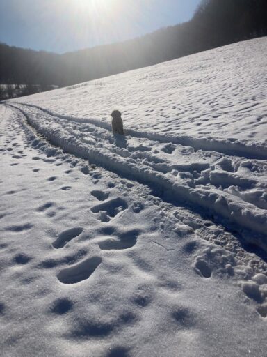 Az óbányai évzárás - 2026-02-19 17:26 - Fábián Luca