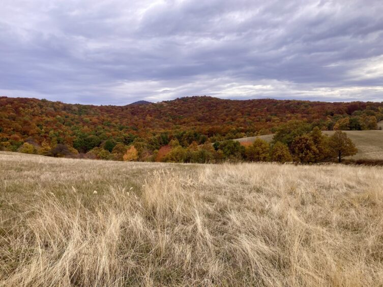 Domb, minden irányból