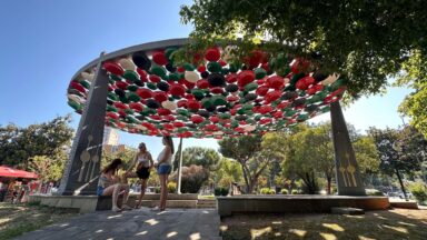 Albán szépség - 2026-03-07 19:16 - Martincsák István