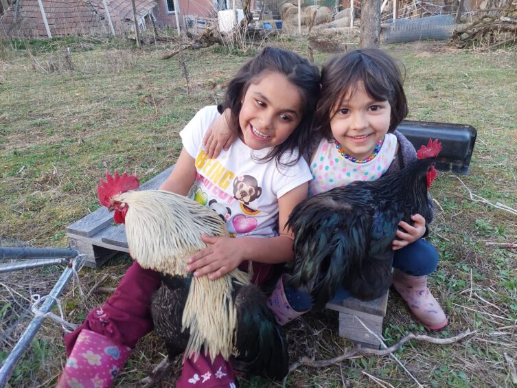 Vidám napok vidéken