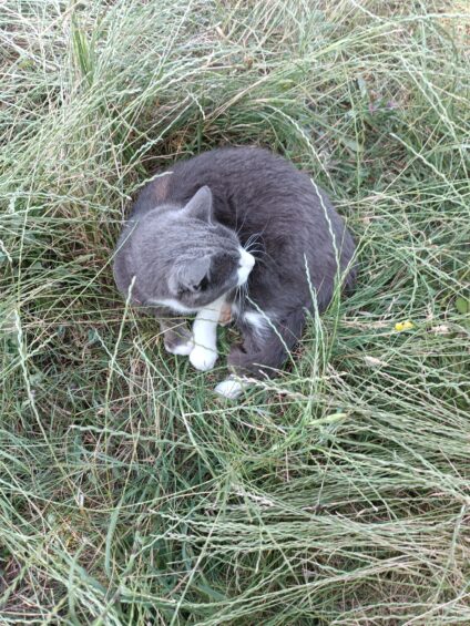 Éves feltöltődés