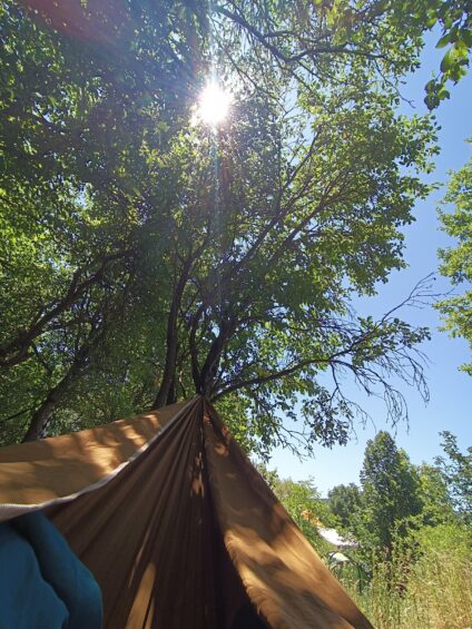 Éves feltöltődés