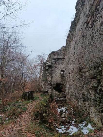 Családi romlátogatás