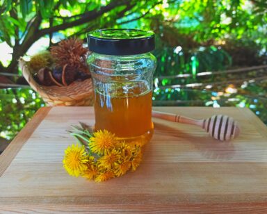 pitypangméz - 2025-12-09 11:23 - Nagy Dóra